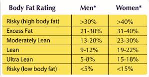 body fat chart